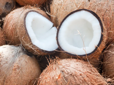 coconut
