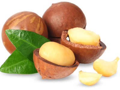 makadamia