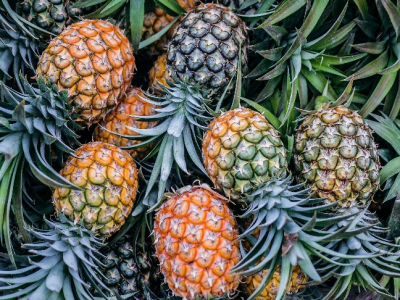 pineapple